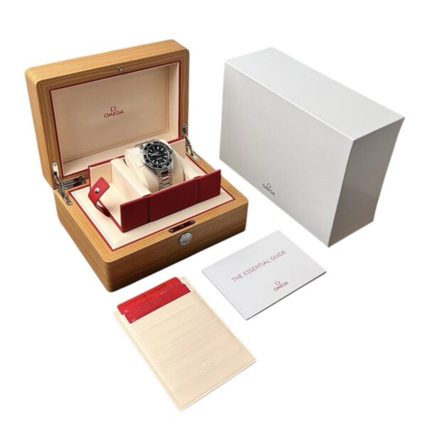 NEW 2026 Omega Seamaster Planet Ocean Steel Black Dial 42mm 217.30.42.21.01.001
